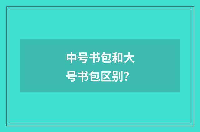 中号书包和大号书包区别？