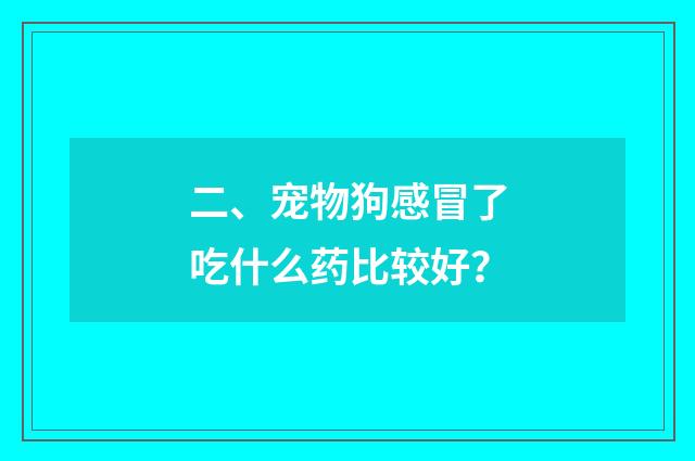 二、宠物狗感冒了吃什么药比较好？