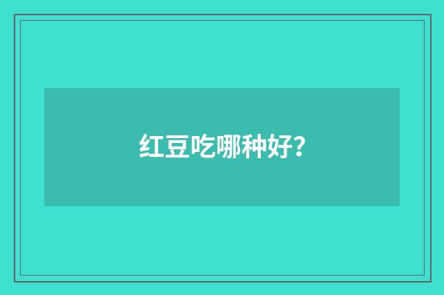 红豆吃哪种好？