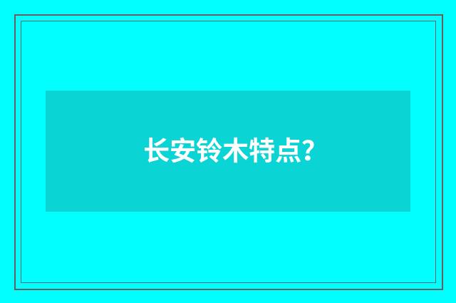 长安铃木特点?