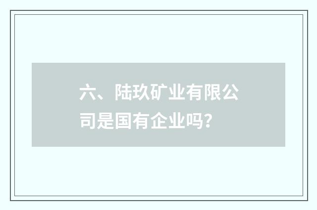 六、陆玖矿业有限公司是国有企业吗？