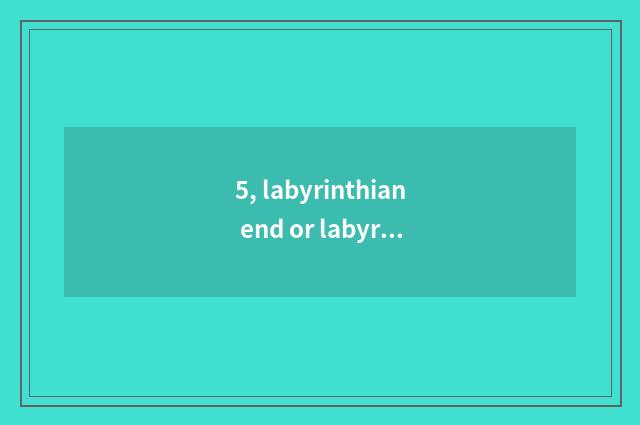 5, labyrinthian end or labyrinthian film?