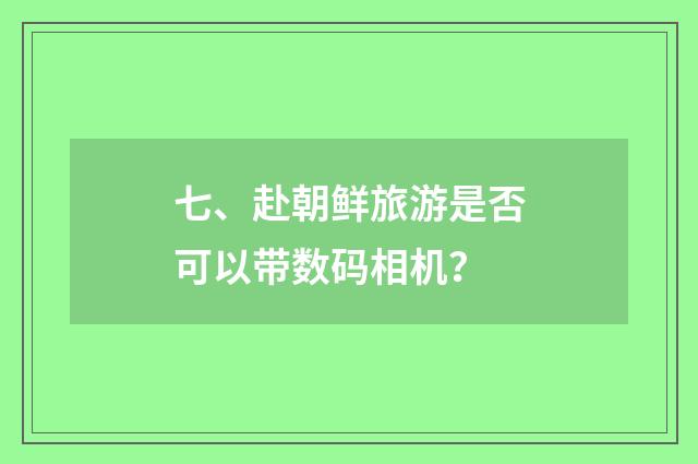 七、赴朝鲜旅游是否可以带数码相机?