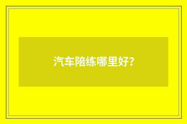 汽车陪练哪里好?