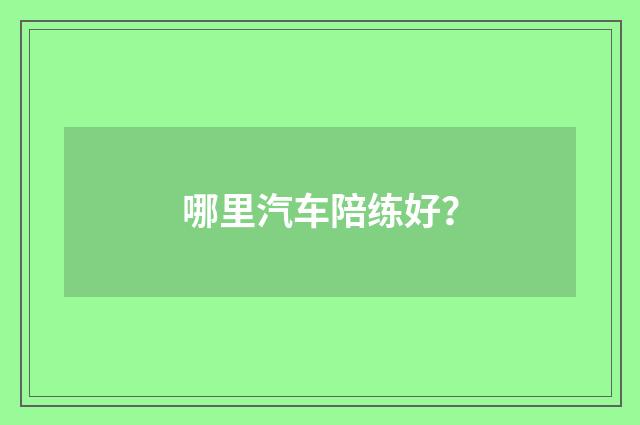哪里汽车陪练好?