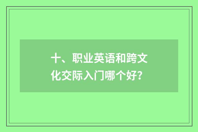 十、职业英语和跨文化交际入门哪个好?