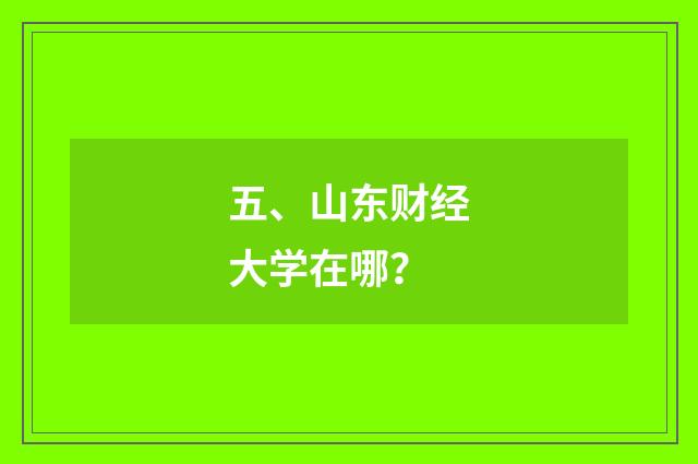 五、山东财经大学在哪？