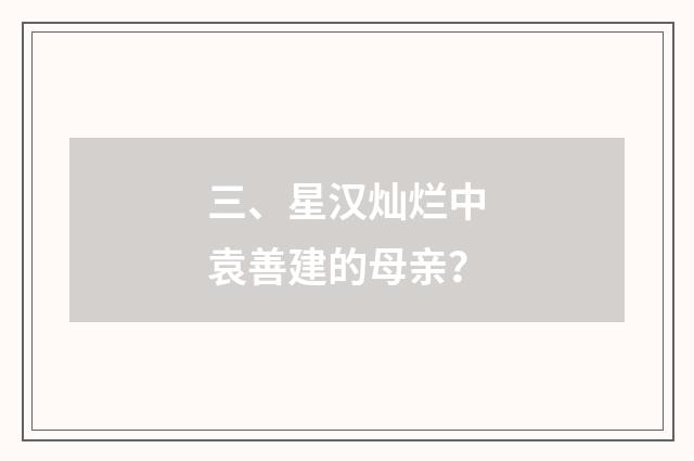 三、星汉灿烂中袁善建的母亲?