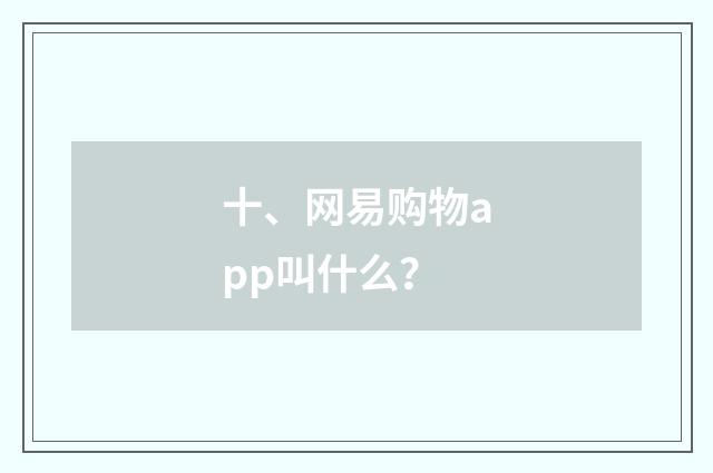 十、网易购物app叫什么?