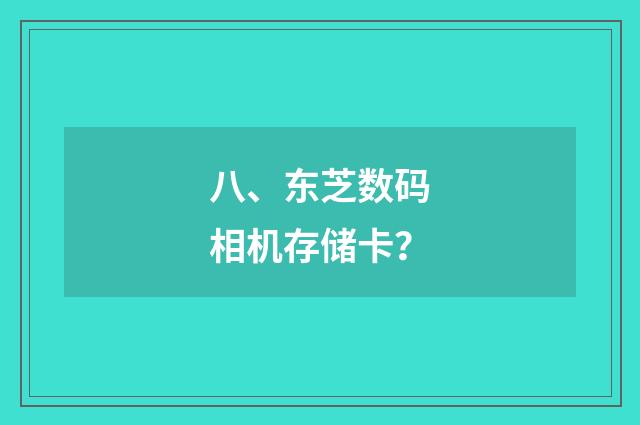 八、东芝数码相机存储卡?
