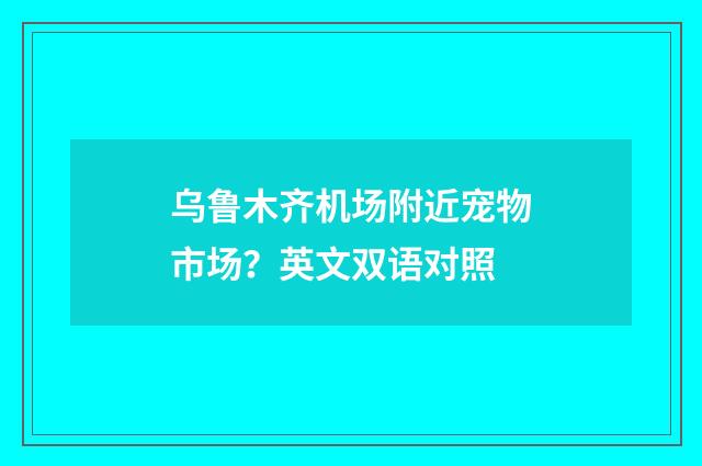 乌鲁木齐机场附近宠物市场？英文双语对照