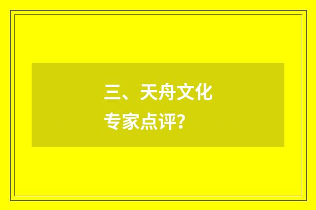 三、天舟文化专家点评？