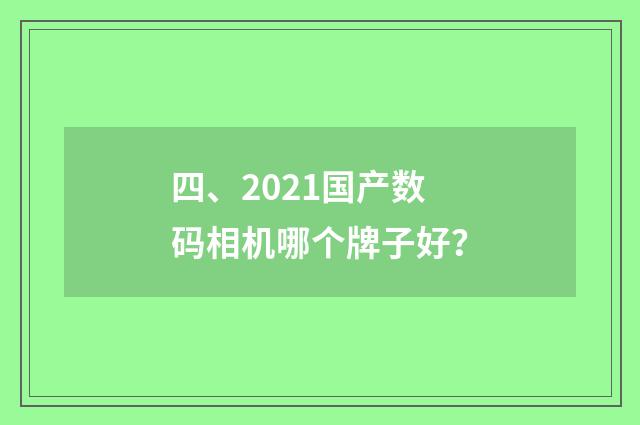 四、2021国产数码相机哪个牌子好?