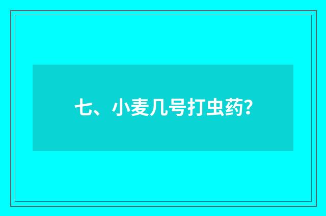 七、小麦几号打虫药?