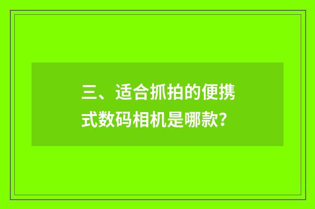 三、适合抓拍的便携式数码相机是哪款?