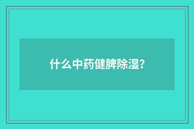 什么中药健脾除湿?