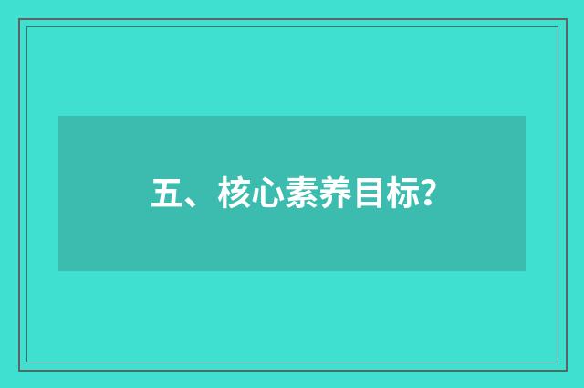 五、核心素养目标?