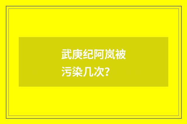 武庚纪阿岚被污染几次?