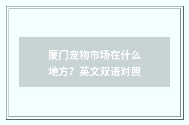 厦门宠物市场在什么地方?英文双语对照