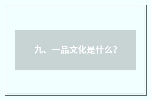 九、一品文化是什么？