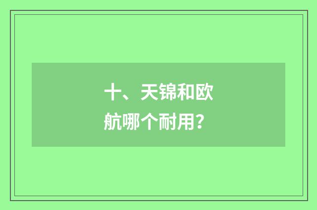 十、天锦和欧航哪个耐用？