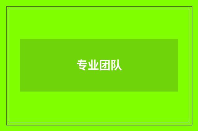 专业团队