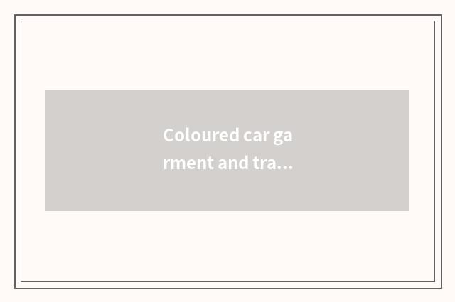 Coloured car garment and transparent car garment which expensive?
