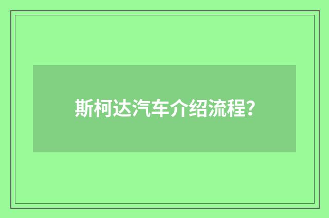 斯柯达汽车介绍流程？
