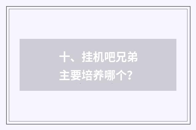 十、挂机吧兄弟主要培养哪个?