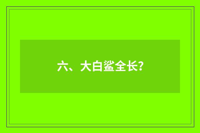 六、大白鲨全长?