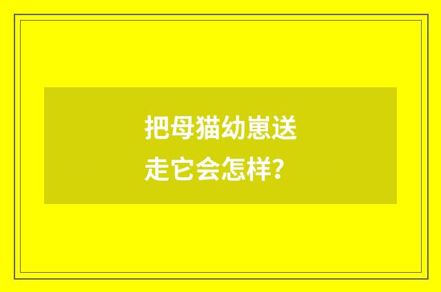 把母猫幼崽送走它会怎样?