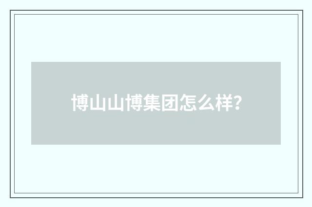 博山山博集团怎么样?