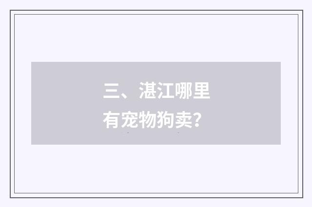 三、湛江哪里有宠物狗卖？