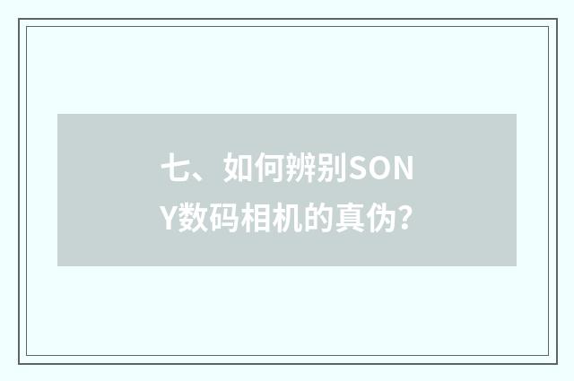 七、如何辨别SONY数码相机的真伪?