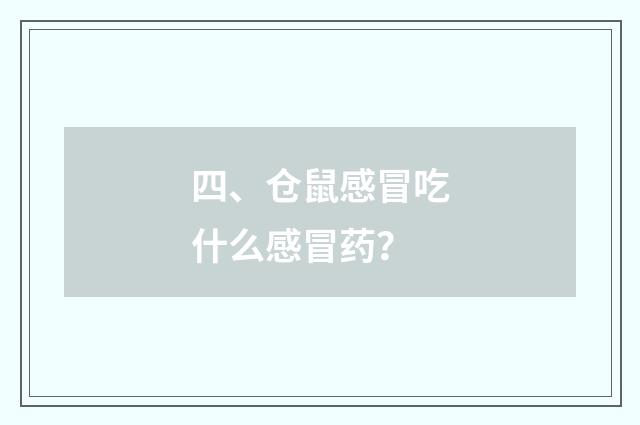 四、仓鼠感冒吃什么感冒药？