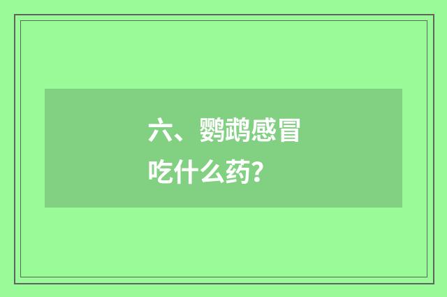 六、鹦鹉感冒吃什么药?