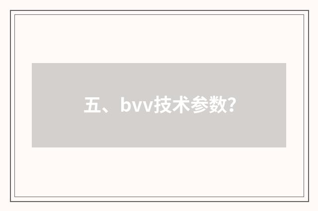五、bvv技术参数?