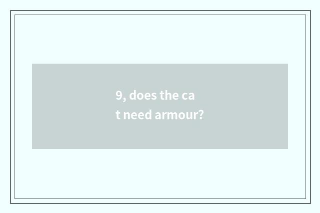 9, does the cat need armour?
