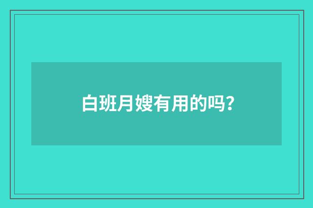 白班月嫂有用的吗？