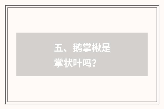 五、鹅掌楸是掌状叶吗？