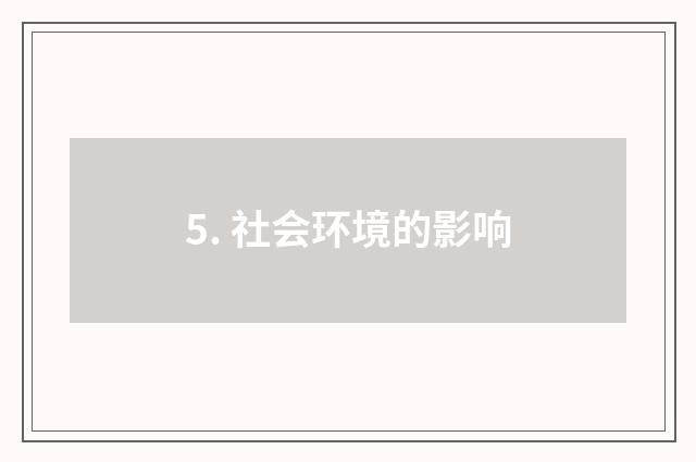 5. 社会环境的影响