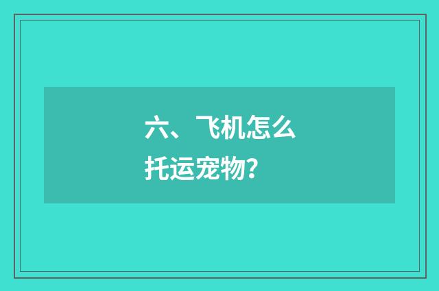 六、飞机怎么托运宠物?