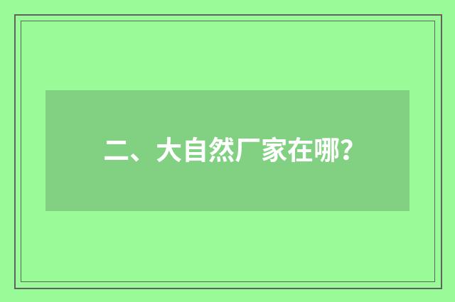 二、大自然厂家在哪?