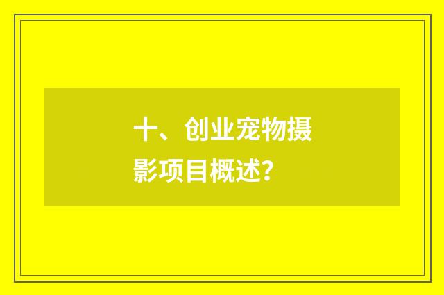 十、创业宠物摄影项目概述？