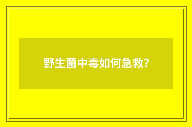 野生菌中毒如何急救?