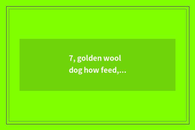 7, golden wool dog how feed, the feed common sense of golden wool dog?