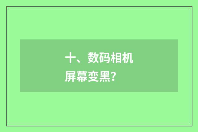 十、数码相机屏幕变黑?