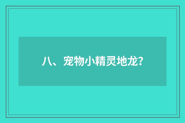 八、宠物小精灵地龙?