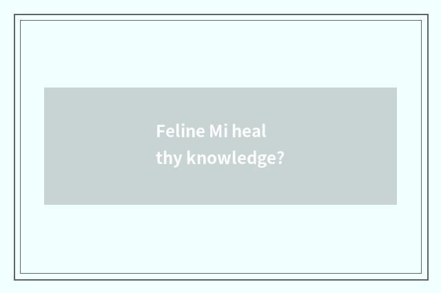 Feline Mi healthy knowledge?