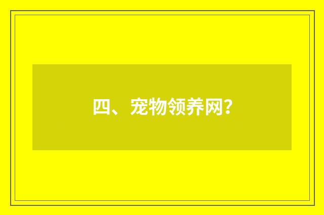 四、宠物领养网?